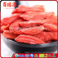 Rohes organisches goji Beere Como usar goji Beere chinesische Medizin goji Beere Cuttings Schwefel frei